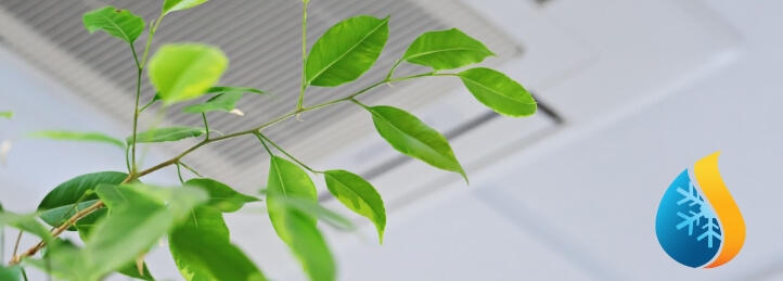 Indoor Air Quality Services in Line Lexington & Southampton, PA