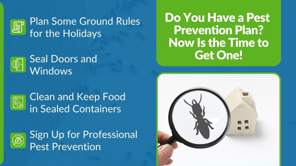 Protect Your Home: Start a Pest Prevention Plan Today  